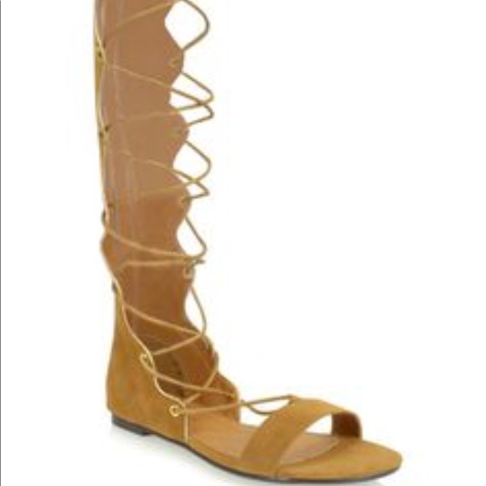 🍁 Valli chestnut gladiator sandals🍁